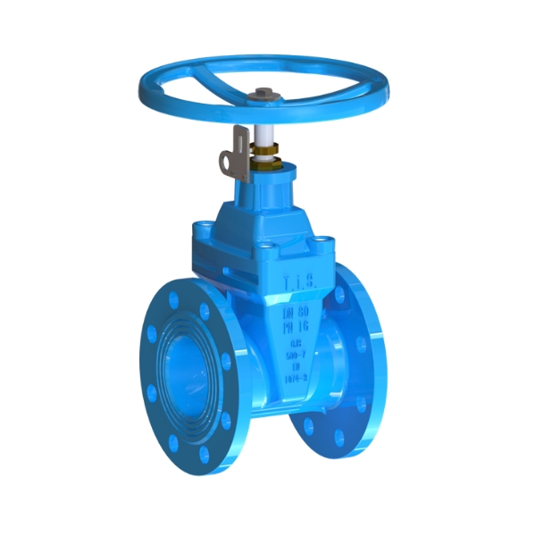 Resilient seated gate valves A021 IND